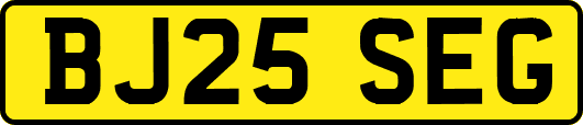 BJ25SEG