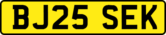 BJ25SEK