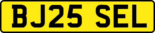 BJ25SEL