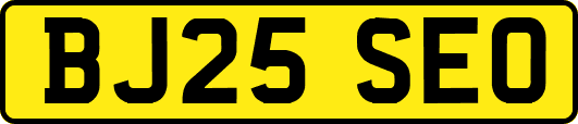 BJ25SEO
