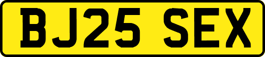 BJ25SEX