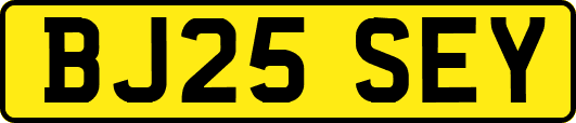 BJ25SEY