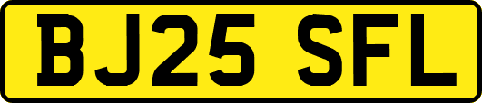 BJ25SFL