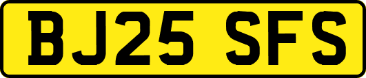 BJ25SFS