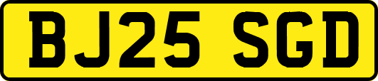 BJ25SGD