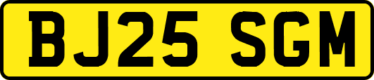 BJ25SGM