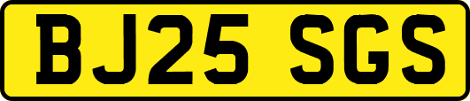 BJ25SGS