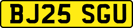 BJ25SGU