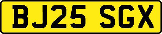 BJ25SGX