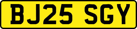BJ25SGY