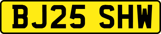 BJ25SHW