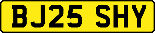 BJ25SHY