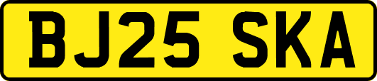 BJ25SKA