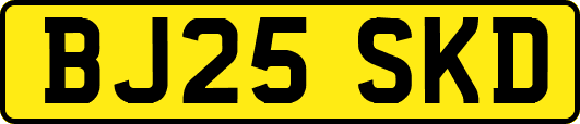 BJ25SKD