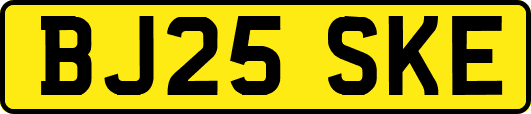 BJ25SKE