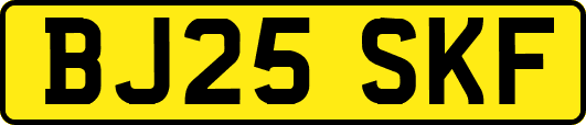 BJ25SKF