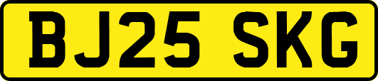 BJ25SKG