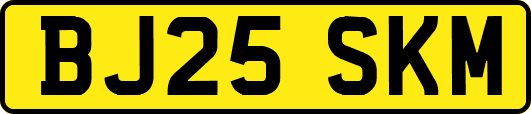 BJ25SKM