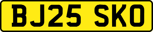 BJ25SKO