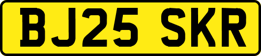 BJ25SKR