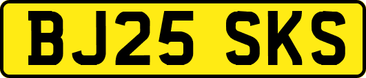 BJ25SKS