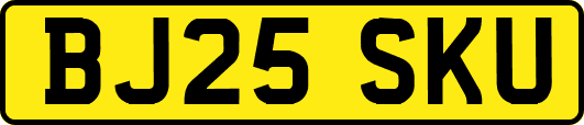 BJ25SKU