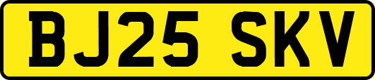 BJ25SKV