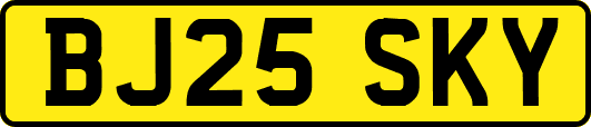 BJ25SKY
