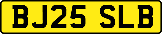 BJ25SLB