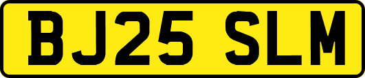 BJ25SLM