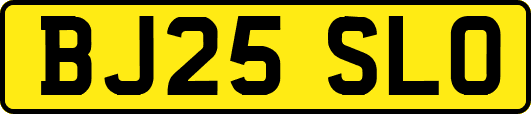 BJ25SLO