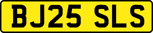 BJ25SLS