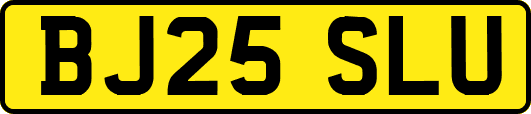 BJ25SLU