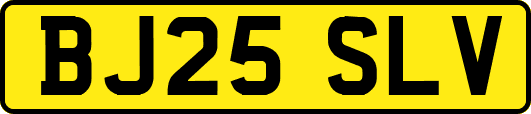 BJ25SLV