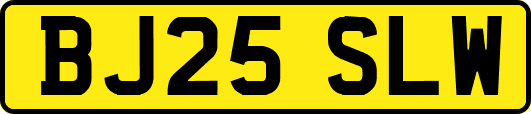 BJ25SLW