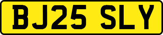 BJ25SLY