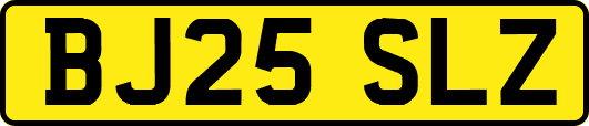 BJ25SLZ