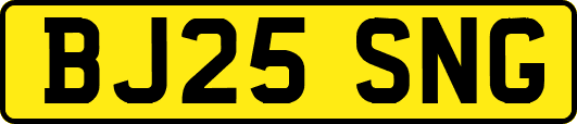 BJ25SNG
