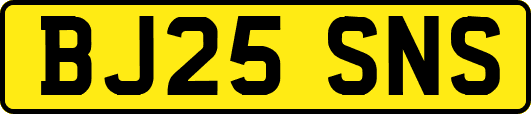 BJ25SNS
