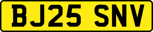 BJ25SNV