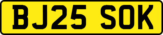 BJ25SOK