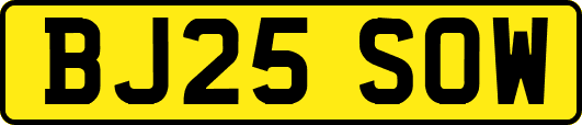 BJ25SOW