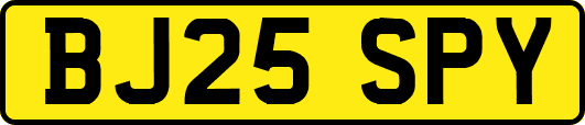 BJ25SPY