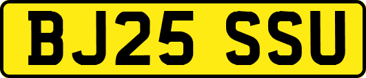BJ25SSU