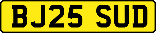 BJ25SUD