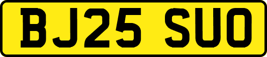 BJ25SUO