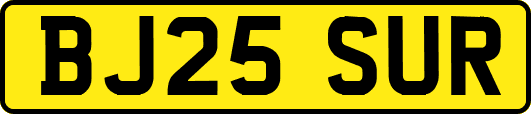 BJ25SUR