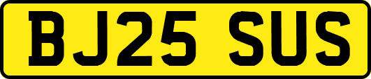 BJ25SUS
