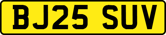 BJ25SUV