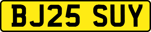 BJ25SUY